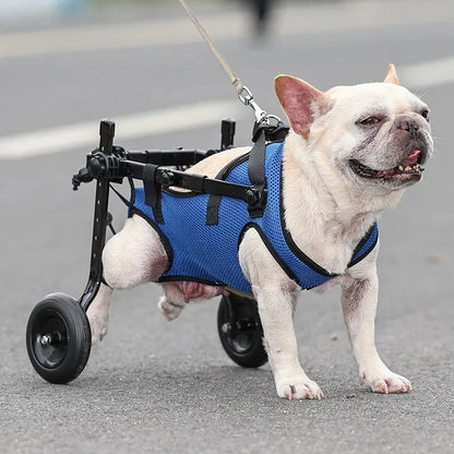 Adjustable Dog & Cat Wheelchair & Mobility Aid for Hind Legs - Happy Tail Center
