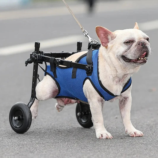 Adjustable Dog & Cat Wheelchair & Mobility Aid for Hind Legs