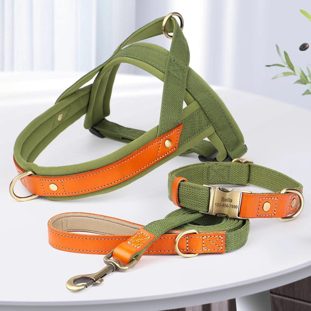 Nylon Dog Collar, Harness, and Leash Set – No Pull Design with Leather Accents for French Bulldogs - Happy Tail Center