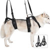Durable Dog Lift Harness and Leash – Rehabilitation and Hip Support for Medium to Large Dogs