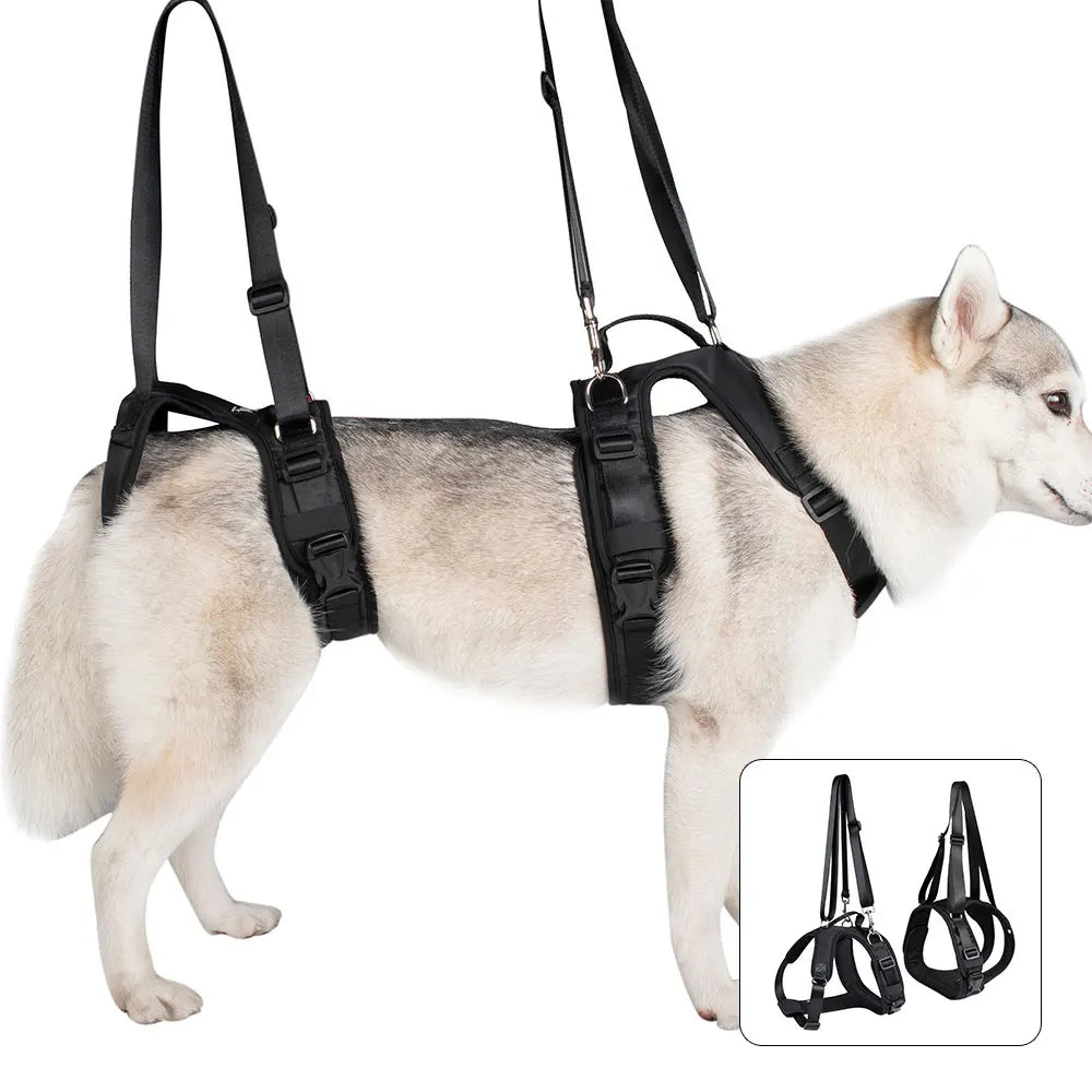 Durable Dog Lift Harness and Leash – Rehabilitation and Hip Support for Medium to Large Dogs - Happy Tail Center