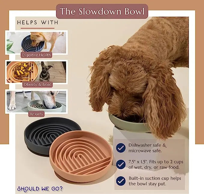 Slow Feed Pet Bowl - Anti-Slip, Anti-Choking Silicone Plate for Cats and Puppies