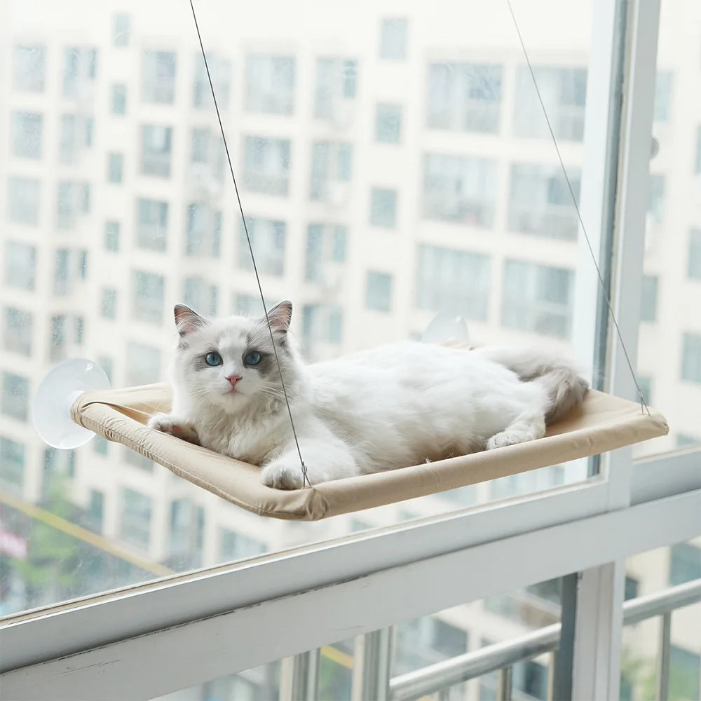 Window Mounted Cat Bed - Strong Sunny Seat Nest and Scratch Tree Hammock - Happy Tail Center