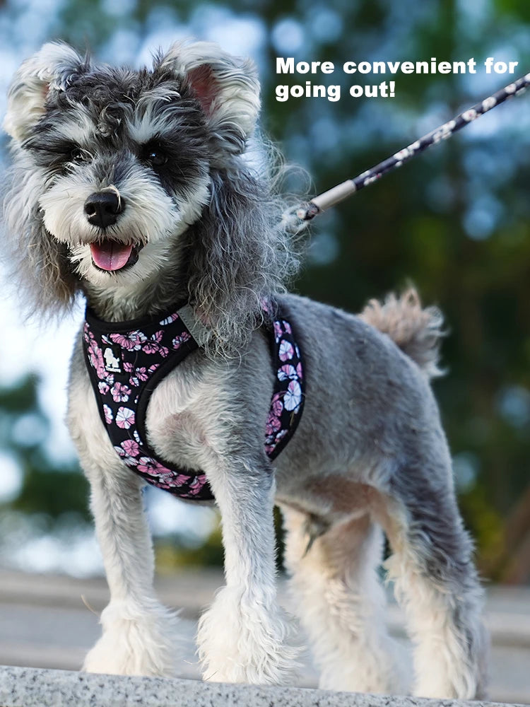 Floral Mesh Pet Harness & Leash Set – Soft, Durable, and Reflective! - Happy Tail Center