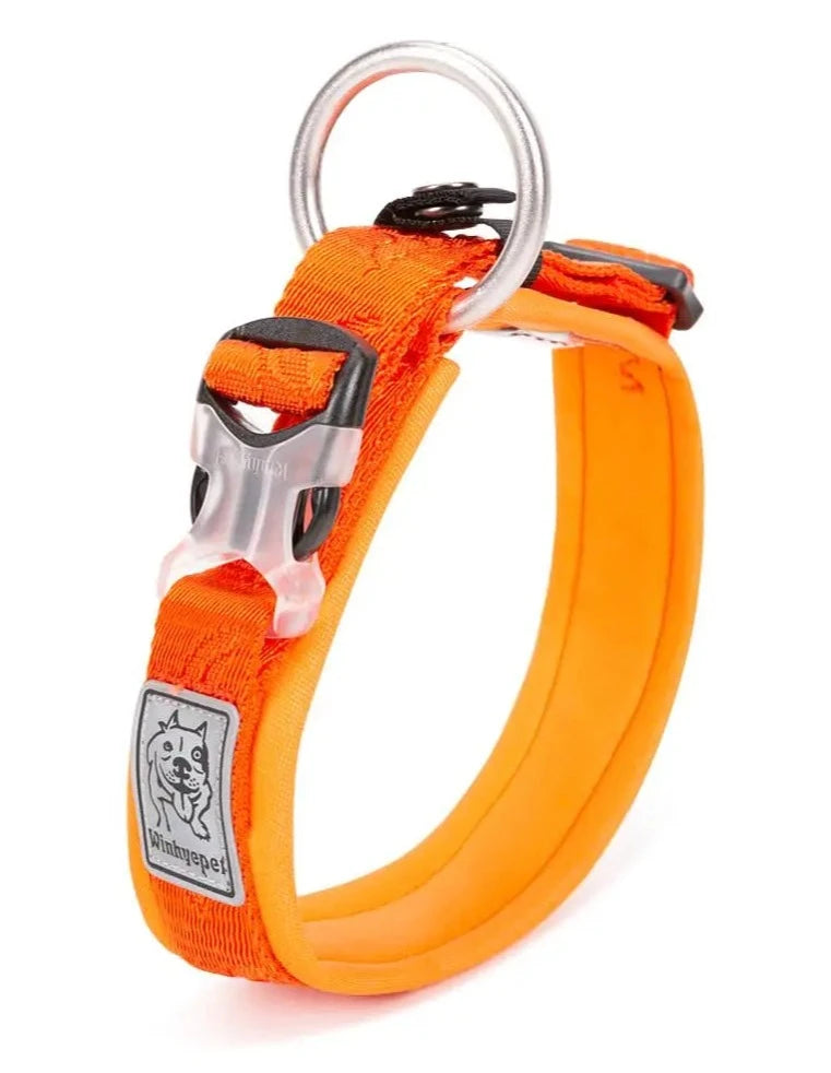 Adjustable Padded Pet Dog Collar | Comfort, Ventilation, Pull-Resistant, and Personalized Printing - Happy Tail Center