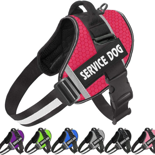 Personalized French Bulldog Harness - Stylish and Safe Outdoor Pet Vest