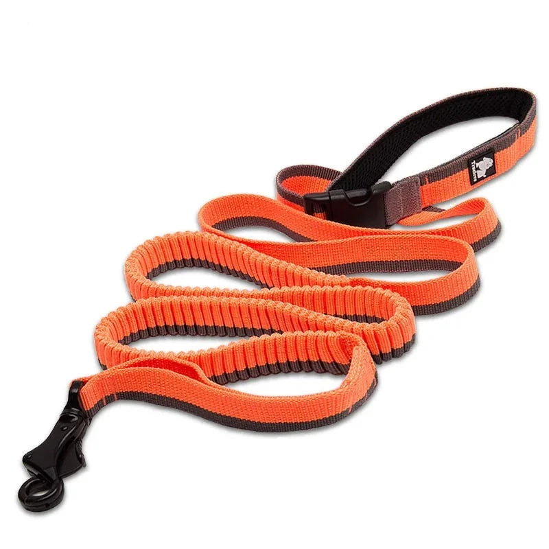 Adjustable Nylon Bungee Dog Leash | Hand-Held or Waist-Worn Retractable Lead for Running, Jogging, and Walking - Happy Tail Center