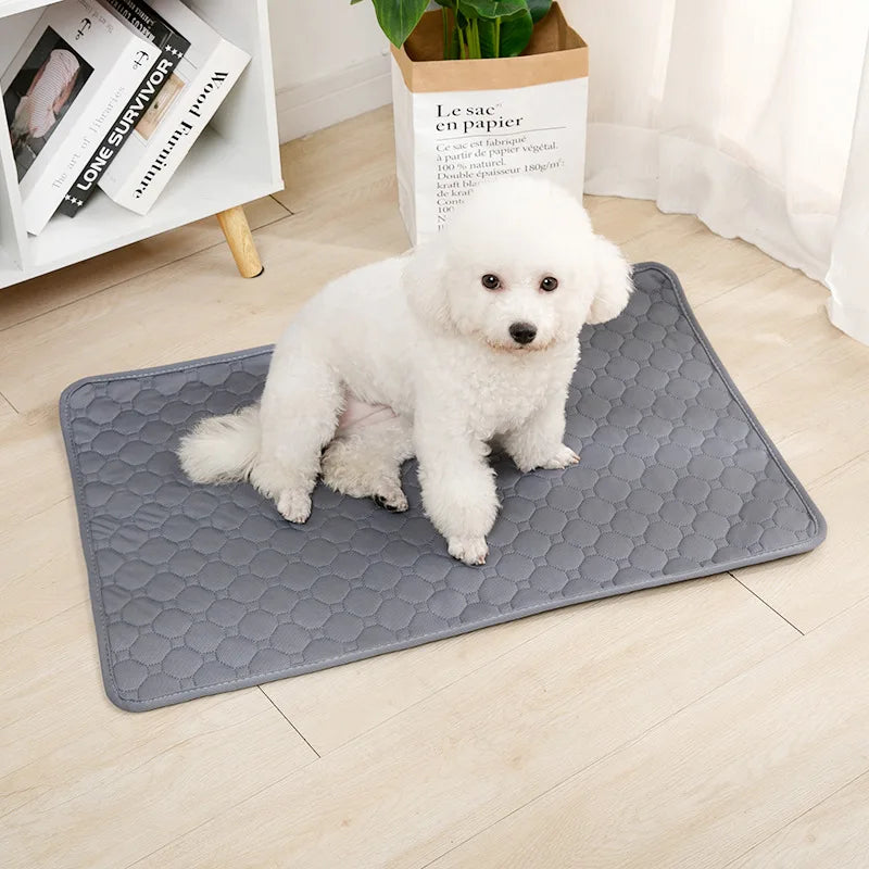 Reusable Absorbent Dog Pee Pad Blanket - Washable Puppy Training Pad & Pet Bed Urine Mat