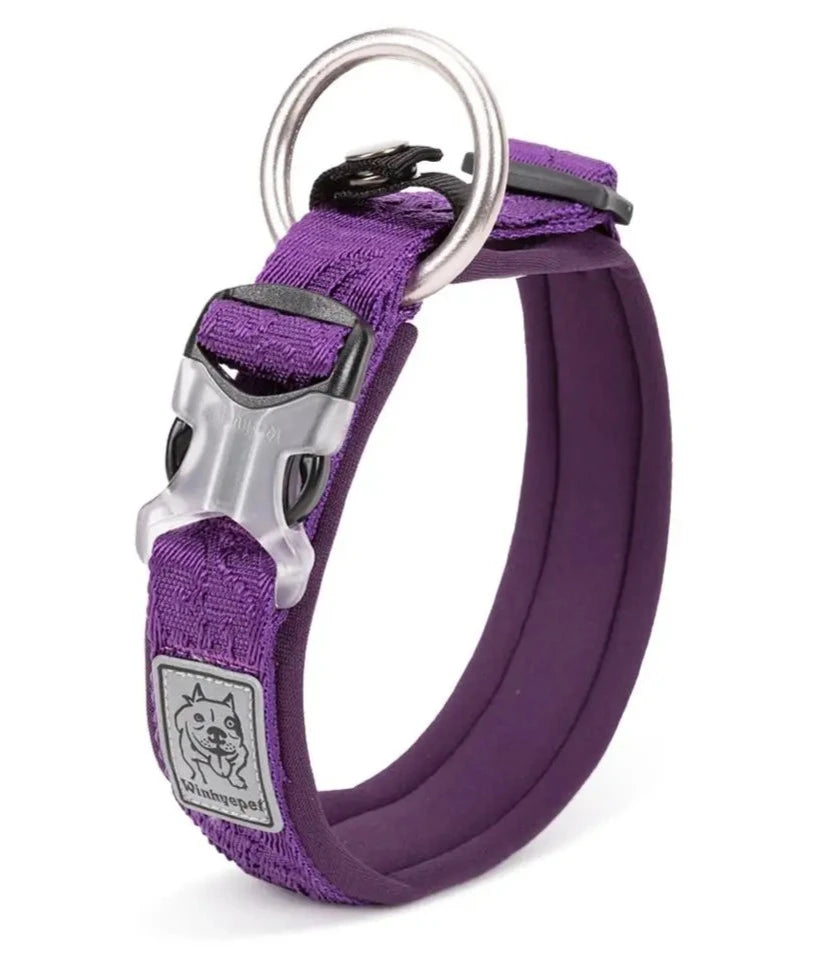 Adjustable Padded Pet Dog Collar | Comfort, Ventilation, Pull-Resistant, and Personalized Printing - Happy Tail Center