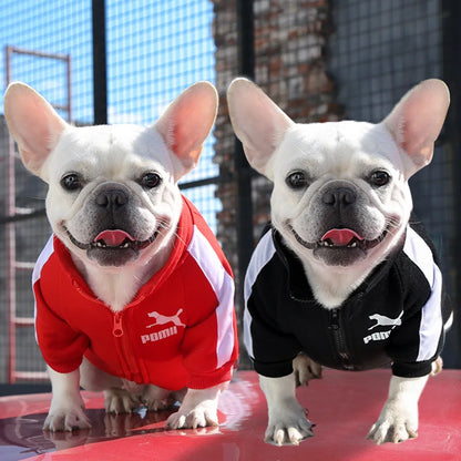Baseball Dog Jacket - Winter Vest for Small and Medium Dogs - Happy Tail Center (View 2)
