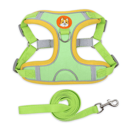 Adjustable Harness Leash Set for Small & Medium Dogs - Reflective Vest for Pet Walking - View 4 - Happy Tail Center