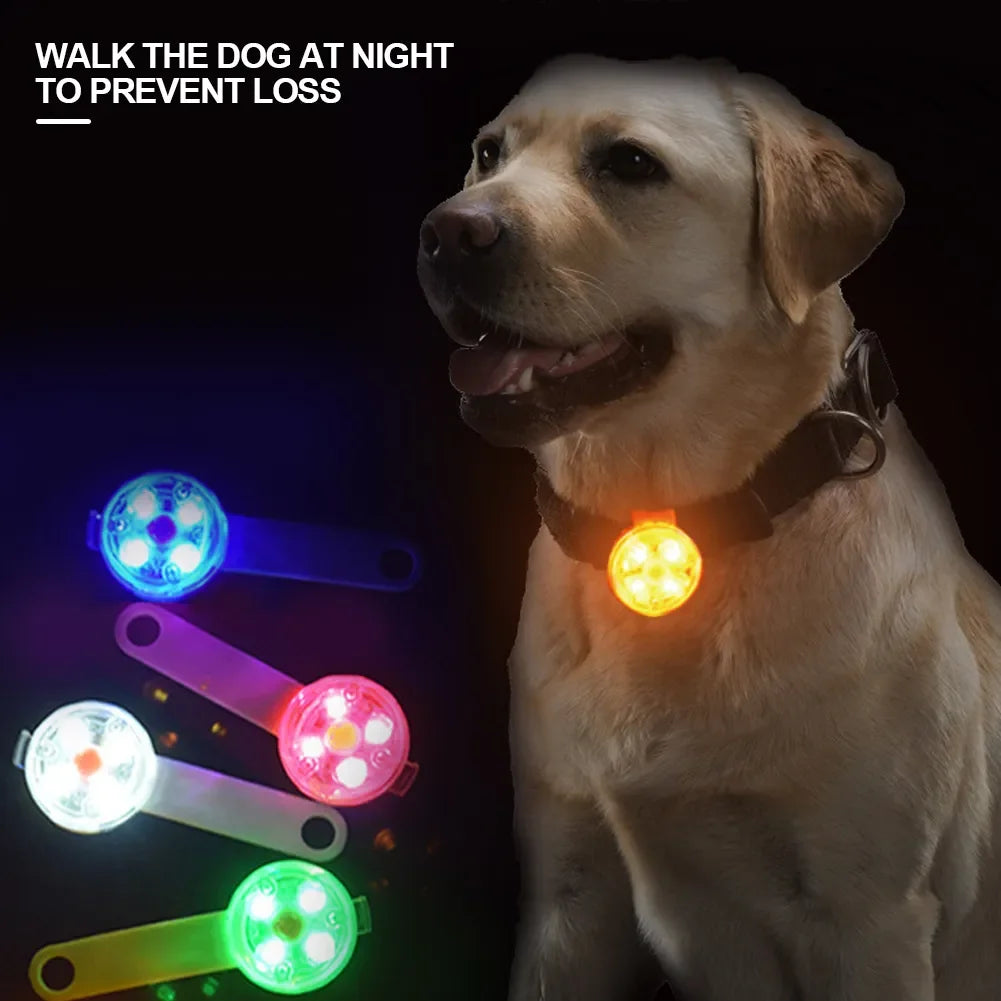 LED Waterproof Safety Collar - USB Rechargeable Anti-Loss Flashing Light for Dogs and Cats