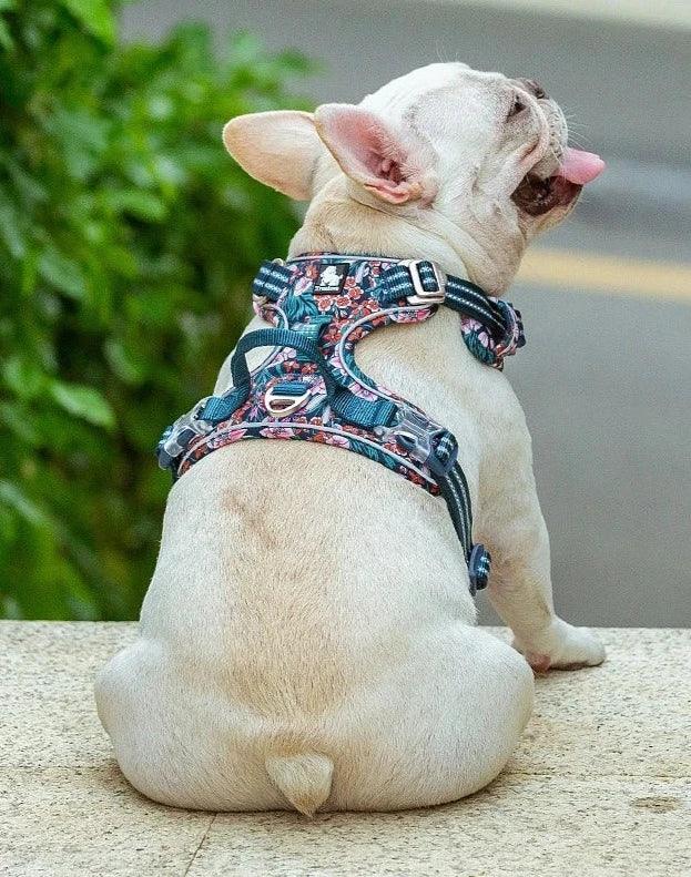 Split Dog Fashion: Pet Harnesses for Small, Medium, and Large Breeds - Happy Tail Center