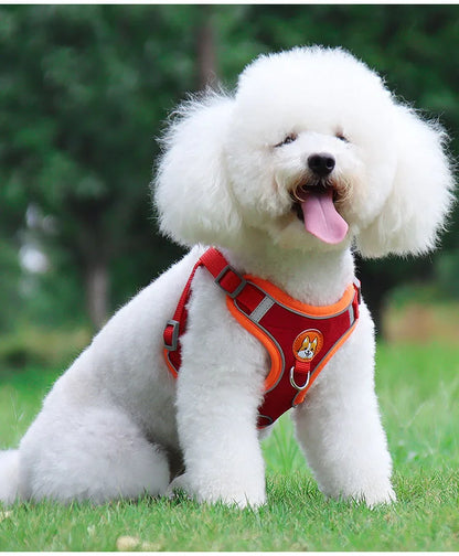 Adjustable Flannel Harness and Leash Set for Small Dogs - Reflective and Breathable - Happy Tail Center (View 13)