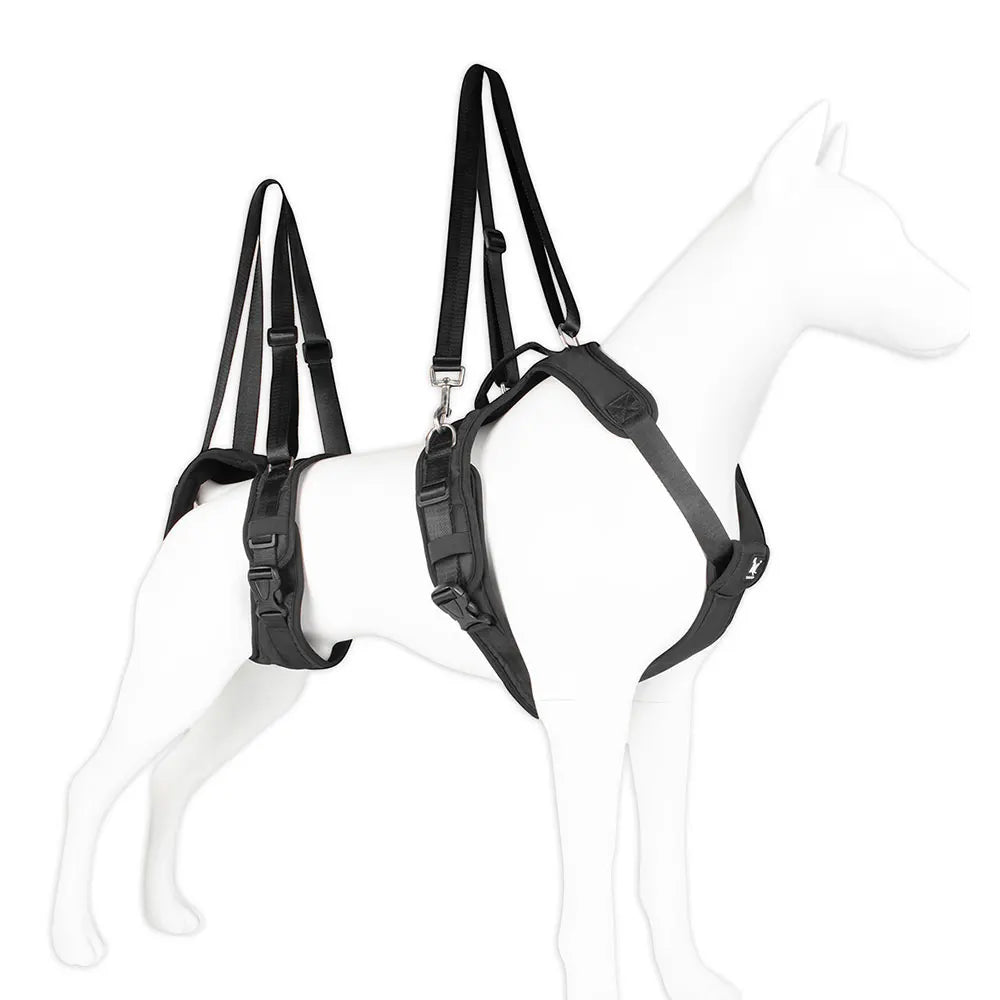 Durable Dog Lift Harness and Leash – Rehabilitation and Hip Support for Medium to Large Dogs - Happy Tail Center