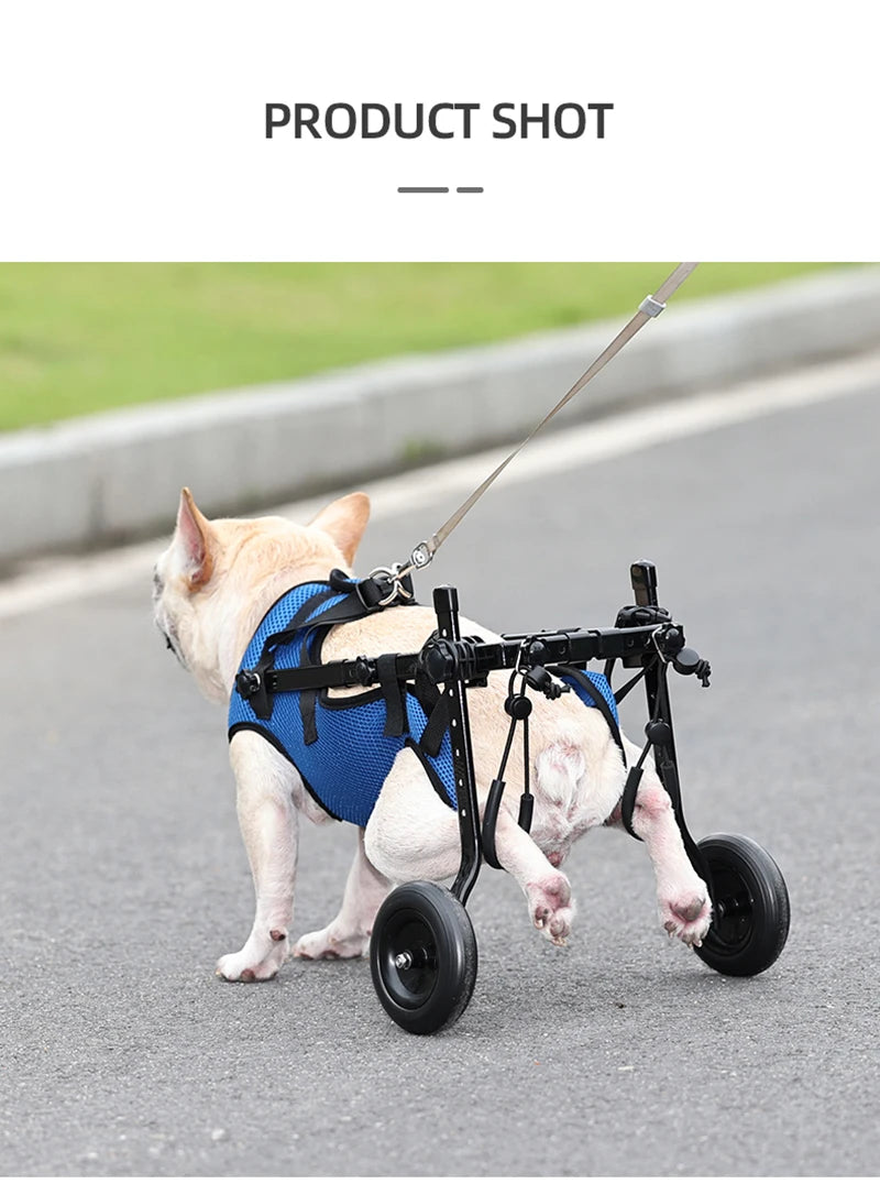 Adjustable Dog & Cat Wheelchair & Mobility Aid for Hind Legs