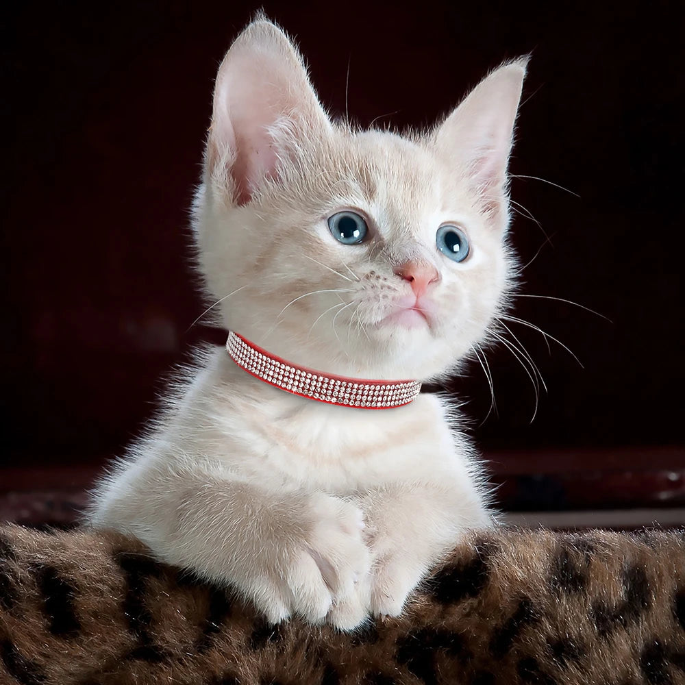 Soft Suede Leather Cat Collar - Bling Rhinestone with Bell, Breakaway