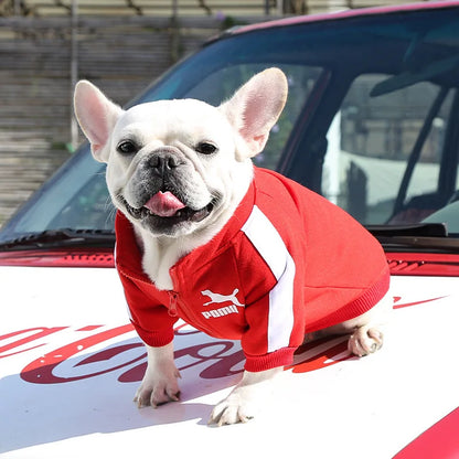 Baseball Dog Jacket - Winter Vest for Small and Medium Dogs - Happy Tail Center (View 3)
