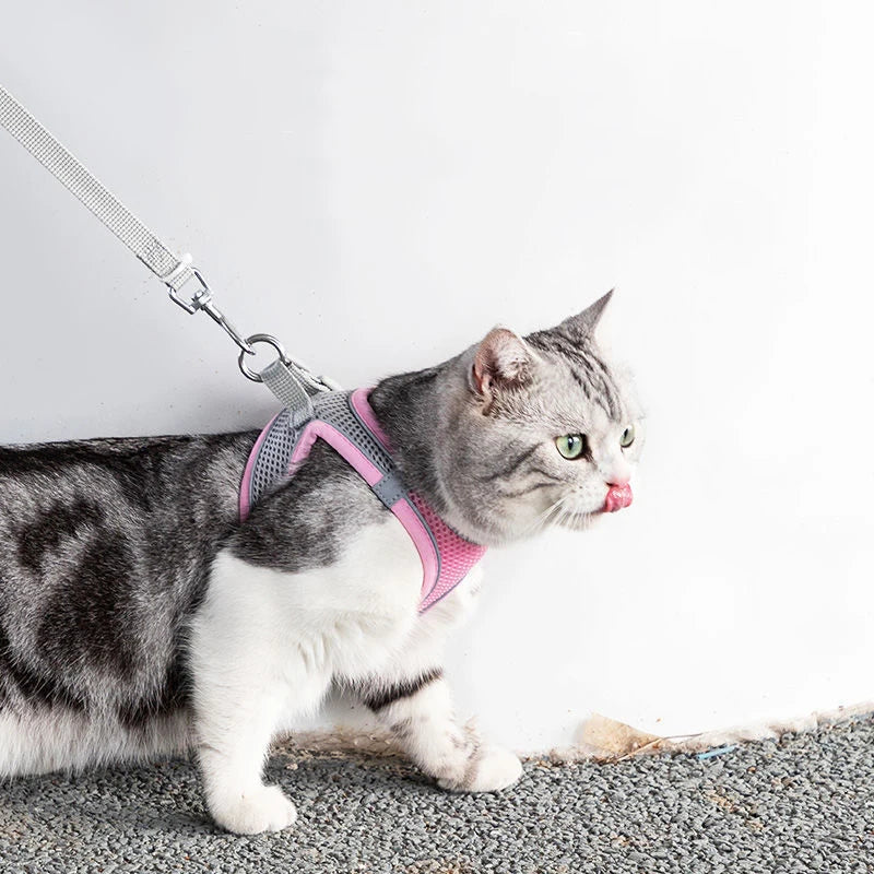 Adjustable Cat Harness & Leash Set: Walking Gear for Cats & Small Dogs