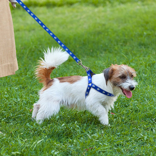 PawPrint Puppy Harness and Leash Set - Safety and Style for Your Little Pup! - Happy Tail Center