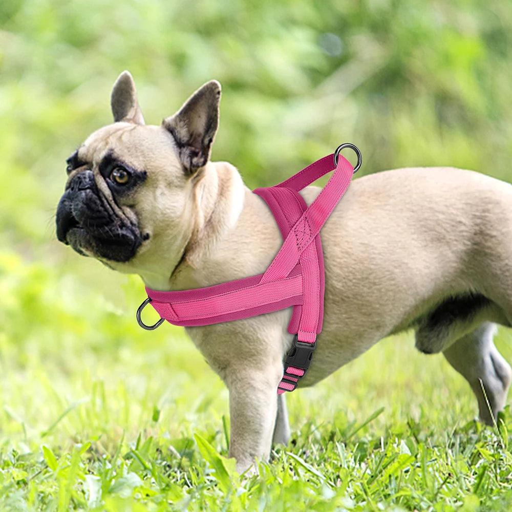 Adjustable Soft No-Pull Dog Harness | Padded Nylon Vest for Small to Medium Breeds - Happy Tail Center