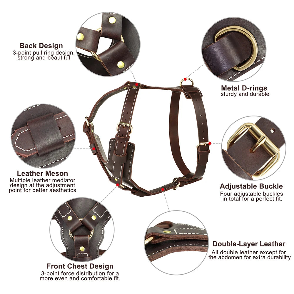 Durable Genuine Leather Dog Harness - Adjustable Vest for Large Dogs - Ideal for German Shepherd, Labrador, Husky - Walking and Training - Happy Tail Center