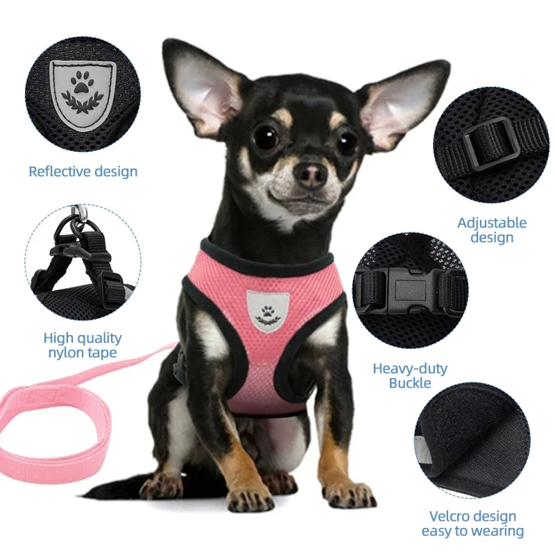 Adjustable Cat Harness Vest with Leash - Mesh Walking Collar for Small Dogs and Pets