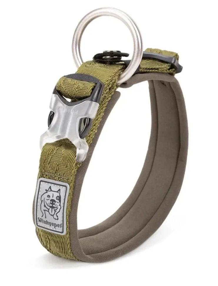 Adjustable Padded Pet Dog Collar | Comfort, Ventilation, Pull-Resistant, and Personalized Printing - Happy Tail Center