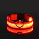 LED Nylon Dog Collar - Night Safety Light-Up Collar for Dogs