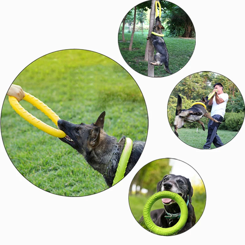 Durable Dog Training Ring | Anti-Bite & Floating Flying Disk for Aggressive Chewers