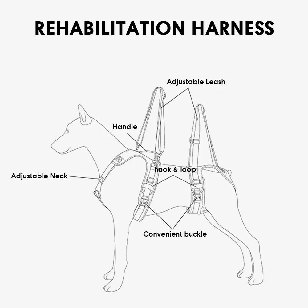 Durable Dog Lift Harness and Leash – Rehabilitation and Hip Support for Medium to Large Dogs - Happy Tail Center