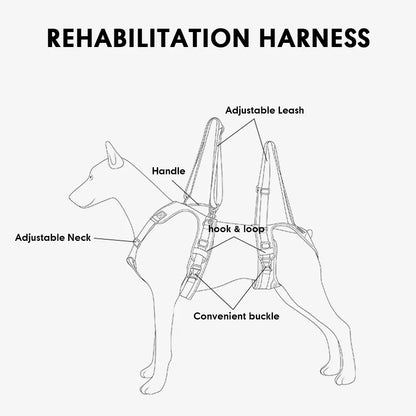 Durable Dog Lift Harness and Leash – Rehabilitation and Hip Support for Medium to Large Dogs - Happy Tail Center