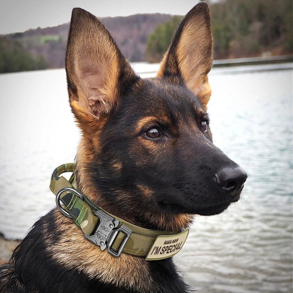 Durable Nylon Tactical Dog Collar for Large Breeds | Strong Collar & Bungee Leash Set - Happy Tail Center