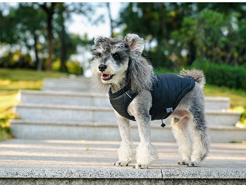 Warm and Cozy Pet Dog Jacket with 3M Thinsulate™ Lining - Happy Tail Center