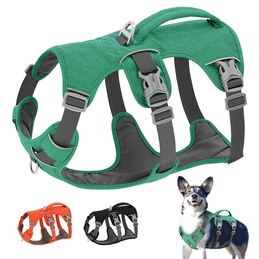 Reflective Nylon Dog Harness - Durable Adjustable Vest with Handle for Small, Medium, and Large Dogs - Happy Tail Center