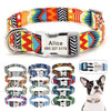 Buckle-Engraved Nylon Dog Collar: Personalized Safety for Your Pet