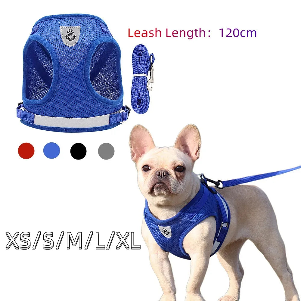 Quality Dog Harness and Leash Set - Perfect for Small and Medium Dogs - French Bulldog, Pug Pet Supplies - Happy Tail Center