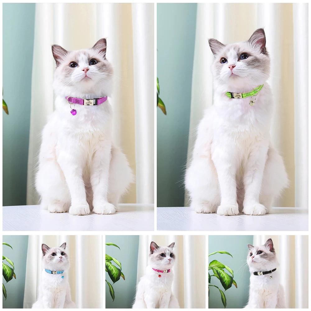 Reflective Personalized Cat Collar: Nylon ID Collar with Bell - Happy Tail Center