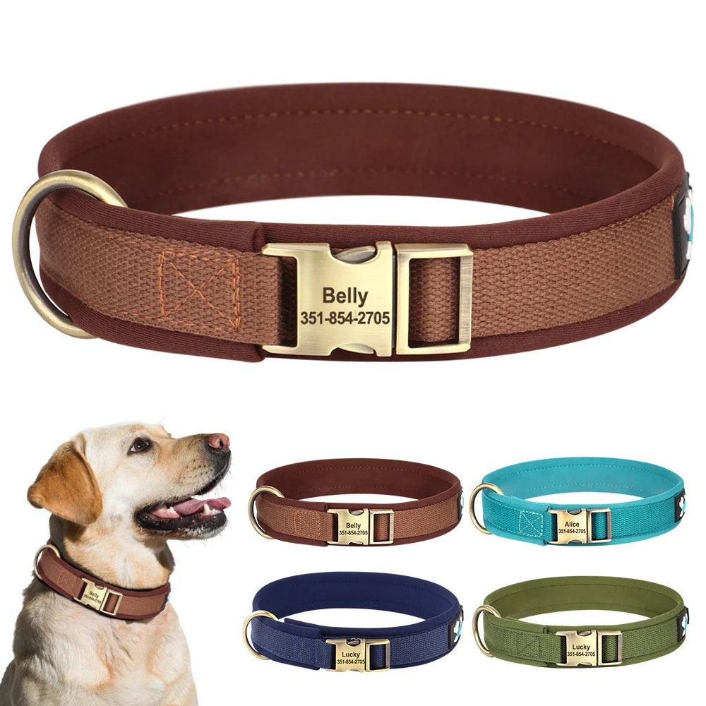 Personalized Nylon Dog Collar - Happy Tail Center