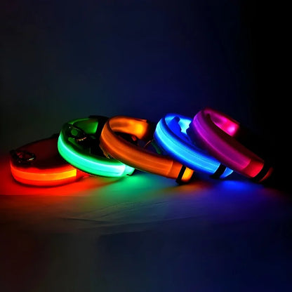 LED Nylon Dog Collar - Night Safety Light-Up Collar for Dogs