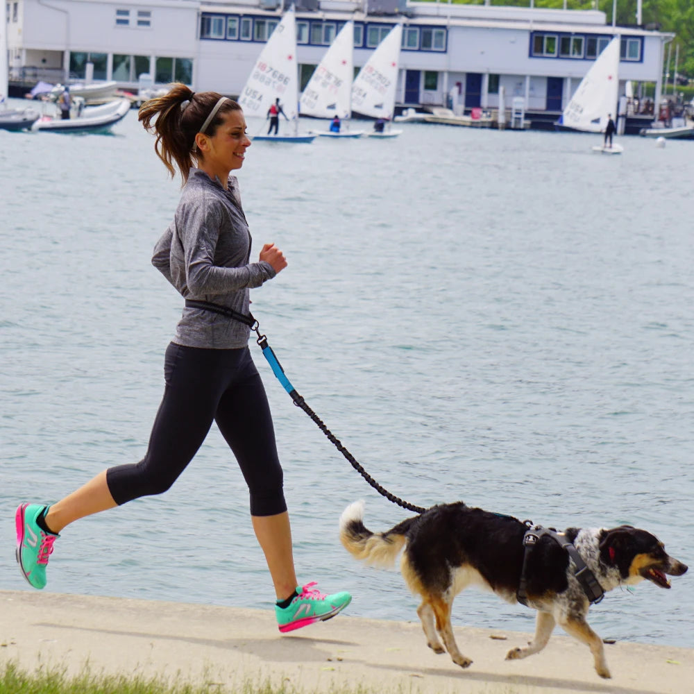 Hands-Free Retractable Dog Leash - Adjustable Waist Belt and Reflective Elastic Rope