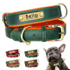 Soft Padded Leather Dog Collar with Custom ID Nameplate: Free Engraving