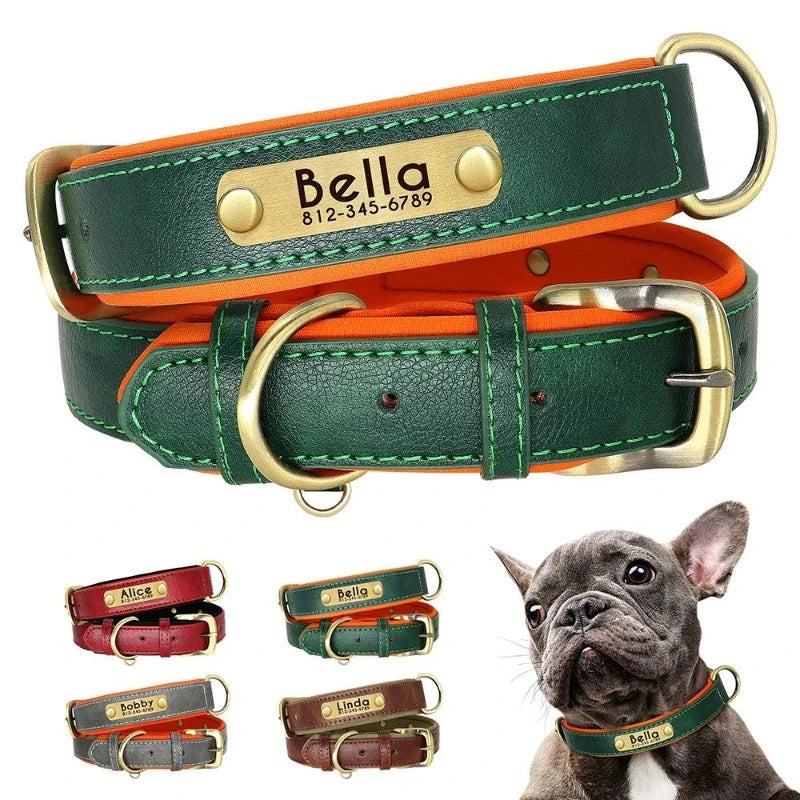 Soft Padded Leather Dog Collar with Customized ID Nameplate: Free Engraving - Happy Tail Center