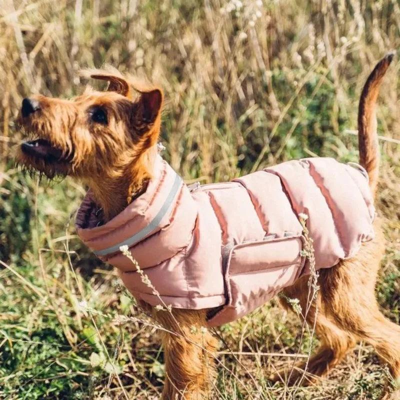 Winter Adjustable Dog Down Jacket - Windproof and Waterproof - Happy Tail Center