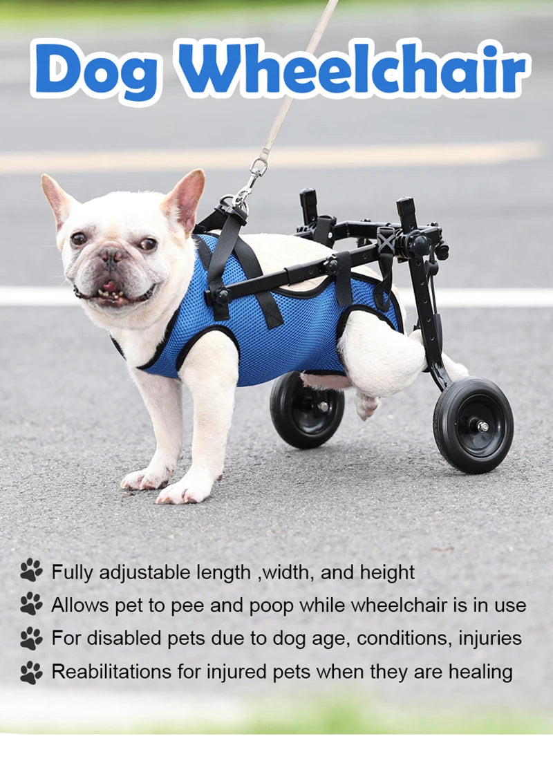 Adjustable Dog & Cat Wheelchair & Mobility Aid for Hind Legs