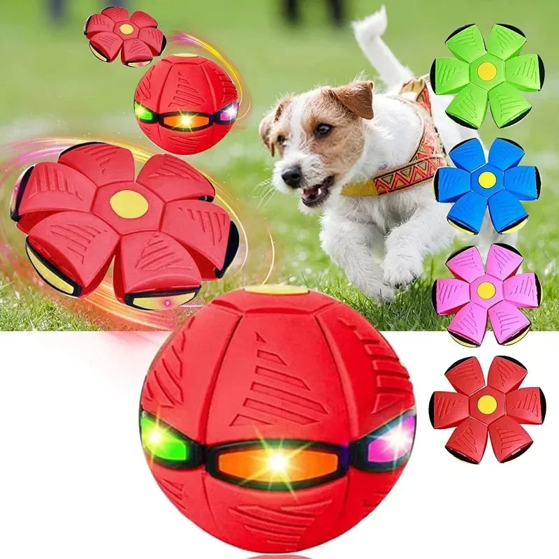 Interactive Dog Toy Ball with Lights – UFO Magic Flying Saucer for Dogs - Happy Tail Center