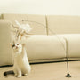 Simulation Bird Interactive Cat Toy - Funny Feather Bird with Bell, Teaser Wand Toy for Kitten Playing - Cat Supplies