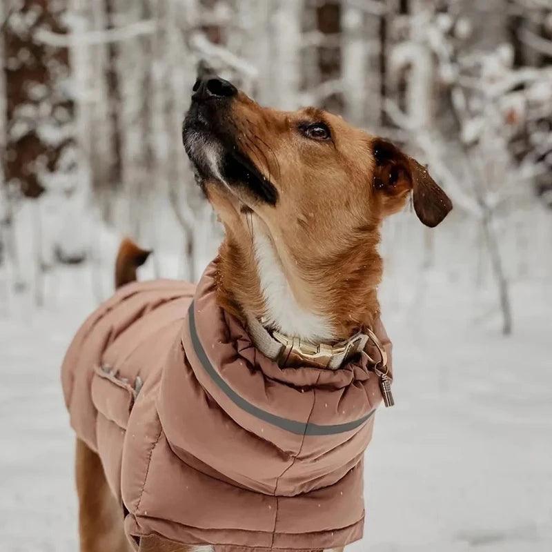 Winter Adjustable Dog Down Jacket - Windproof and Waterproof - Happy Tail Center