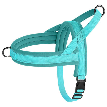 Adjustable Soft No-Pull Dog Harness: Padded Nylon Vest for Small to Medium Breeds - View 5 - Happy Tail Center