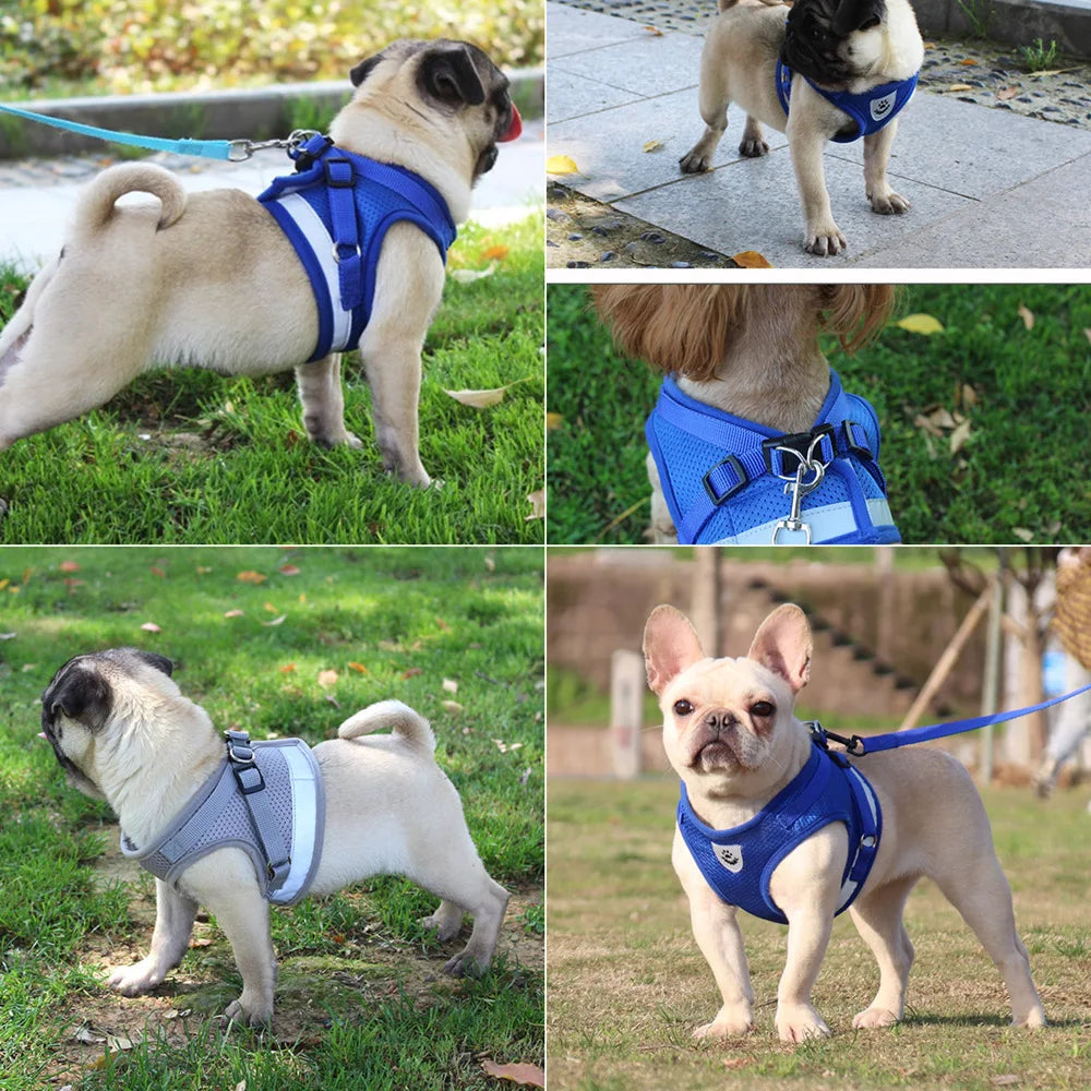 Quality Dog Harness and Leash Set - Perfect for Small and Medium Dogs - French Bulldog, Pug Pet Supplies - Happy Tail Center